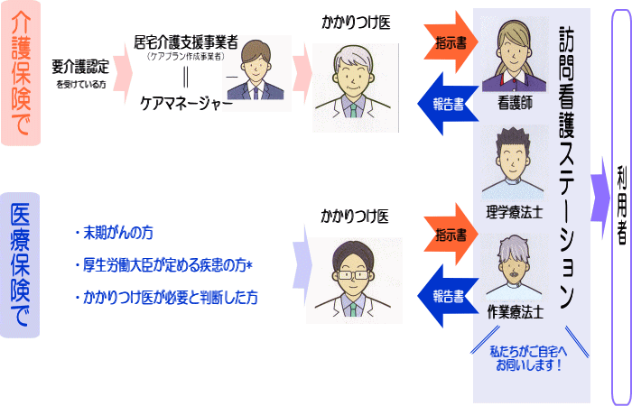 ホーエン ヤール の 分類